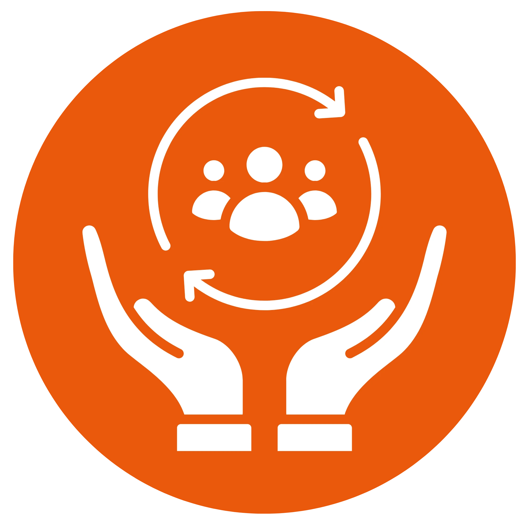 Organization Development & Culture Transformation